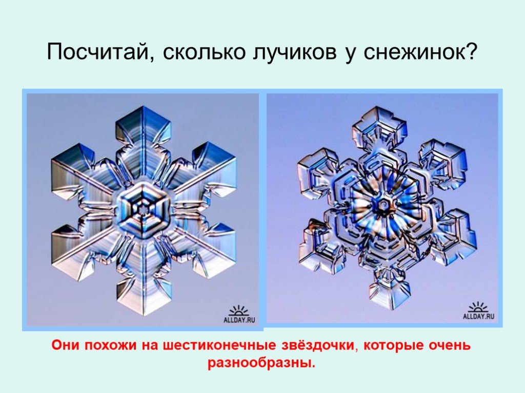 Сколько лучей у снежинки. Количество лучей у снежинки. Сколько лучиков у снежинки. Лучи снежинки. Сколько лучей у снежинк.