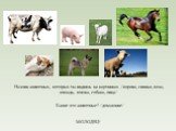 Назови животных, которых ты видишь на картинках /корова, свинья, коза, лошадь, кошка, собака, овца/. Какие это животные? /домашние/