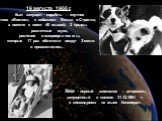 19 августа 1960 г. был запущен корабль – спутник типа «Восток», с собаками Белка и Стрелка, а вместе с ними 40 мышей, 2 крысы, различные мухи, растения и микроорганизмы, которые 17 раз облетели вокруг Земли и приземлились. Хем – первый шимпанзе – астронавт, запущенный в космос 31.12.1961 г. с космод