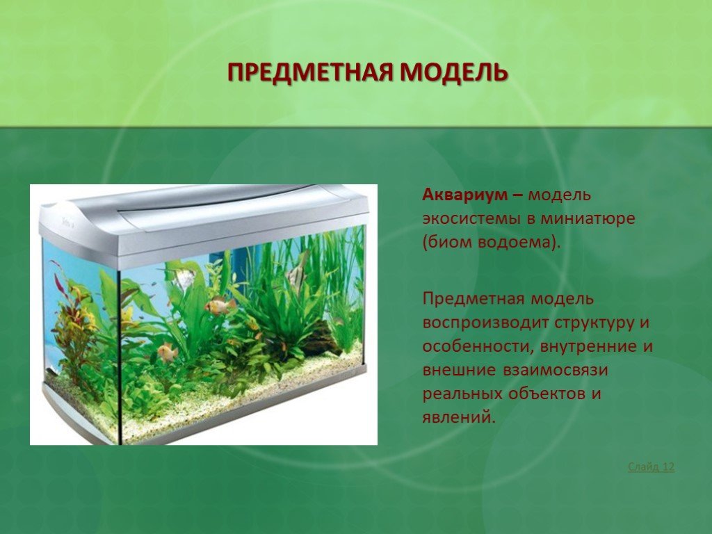 Определите какие организмы живут в аквариуме лабораторная. Экосистема аквариума. Аквариум искусственная экосистема. Аквариум модель экосистемы. Экко система аквариума.