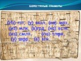 БЕРЕСТЯНЫЕ ГРАМОТЫ. (Из) гзт, (у) вкзл, (на) мрз, (из) млк, (в)грд, (на) встк, (из) смлт, (по) тлфн, (у) шфр, (в) вгн.