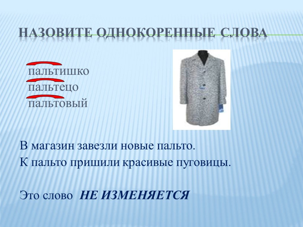 Какое слово пальто. Однокоренные слова к слову пальто. Однокоренные слова к слову пальто 1 класс. Родственные слова к слову пальто. Пальто однокоренное однокоренные слова.