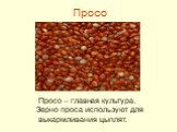 Просо. Просо – главная культура. Зерно проса используют для выкармливания цыплят.