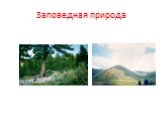 Мир заповедной природы Таштыпского района Слайд: 12