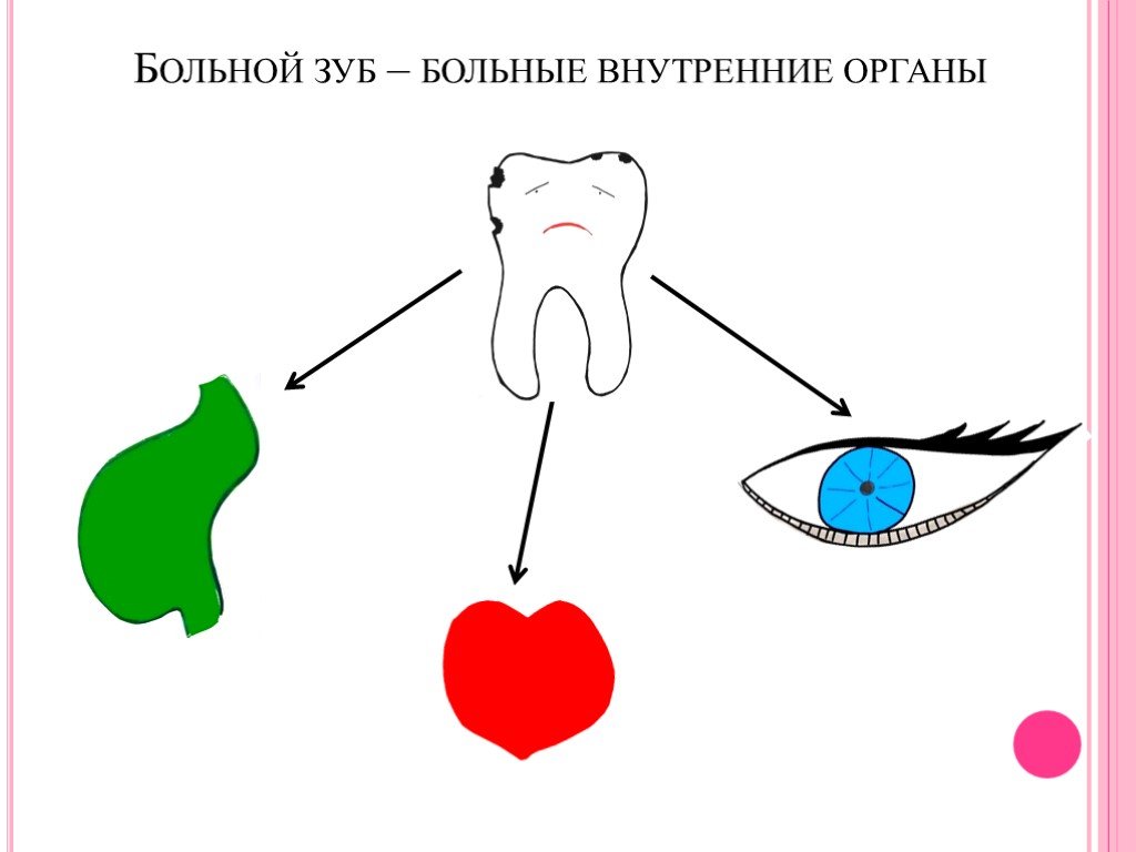 Зубы связанные с органами схема