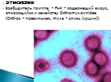 ЭТИОЛОГИЯ Возбудитель гриппа - РНК – содержащий вирус, относящийся к семейству Orthomyxoviridae (Orthos - правильная, myxa - слизь (муцин))