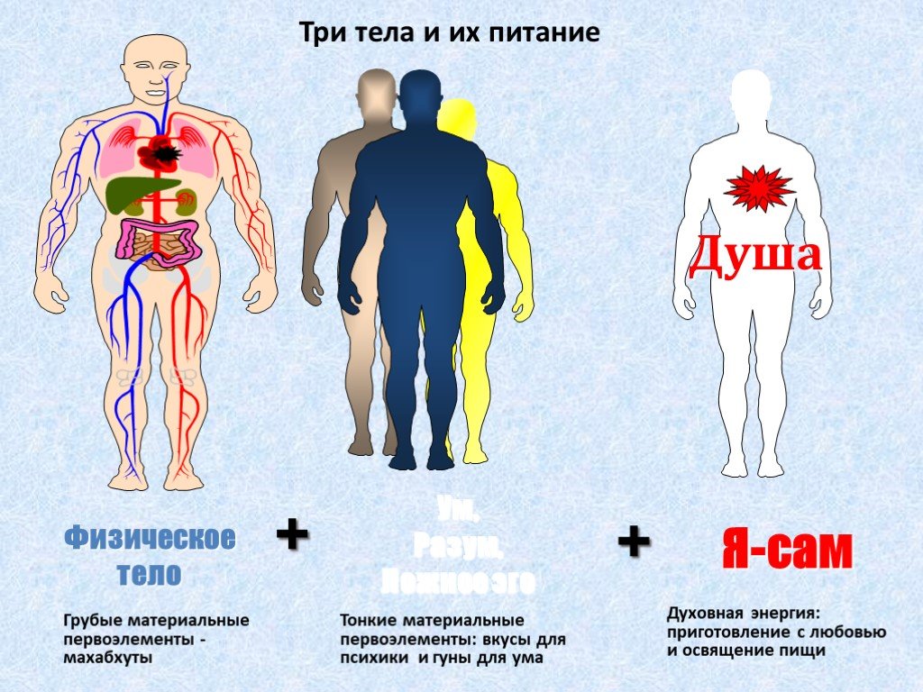 Материальное тело. Три тела человека. Первоэлементы в теле человека. Тонкое и грубое тело. Тонкие тела души.