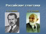 Российские генетики. Н. И. Вавилов И. В. Мичурин