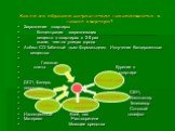 Каким же образом загрязнители накапливаются в нашей квартире? Загрязнение квартиры Концентрация загрязняющих веществ в квартирах в 2-5 раз выше, чем на улицах города Асбест СО Табачный дым Формальдегид Излучения Канцерогенные вещества Газовые плиты Курение в квартире ДСП, Фанера, пенопласт СВЧ, Комп