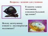 Вопросы - задания для учеников. К какому классу моллюсков относится большой прудовик? Почему жемчужницу относят к двустворчатым моллюскам?