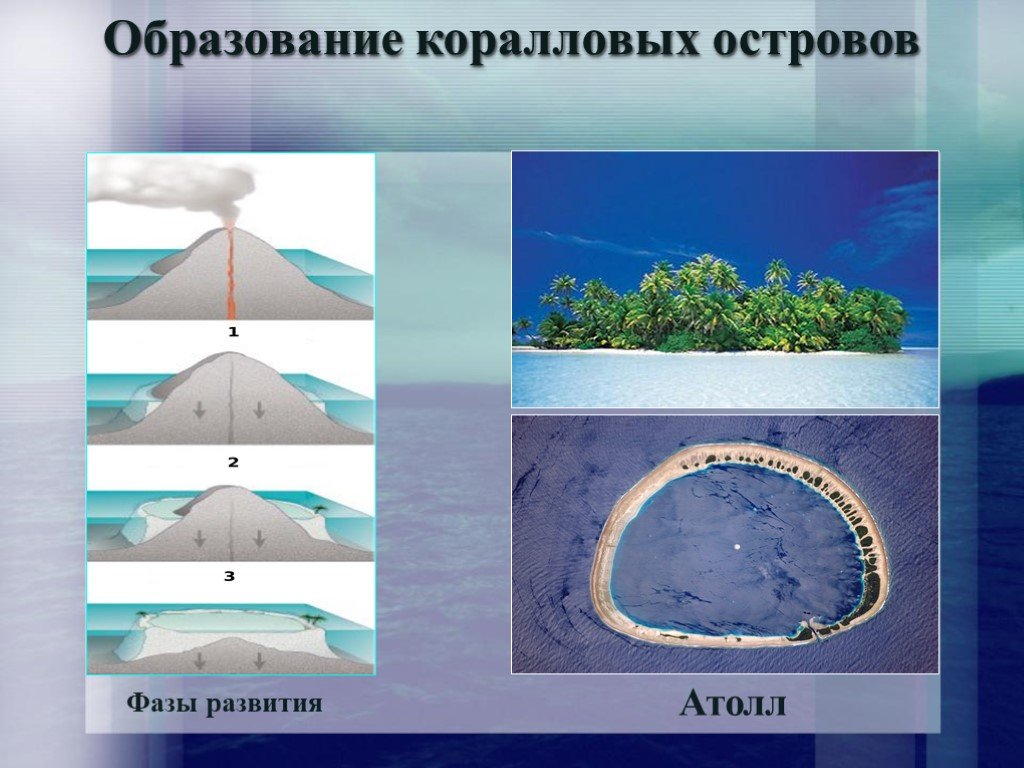 Океан образование. Схема образования кораллового острова Атоллы. Образование коралловых островов. Строение коралловых островов. Образование коралловых островов схема.