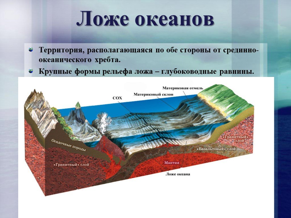 Какое из перечисленных океанических. Ложе океана срединно-океанический хребет шельф глубоководный жёлоб. Ложе океана. Рельеф ложа океана. Глубоководное ложе океана.