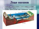 Ложе океанов. Территория, располагающаяся по обе стороны от срединно-океанического хребта. Крупные формы рельефа ложа – глубоководные равнины.