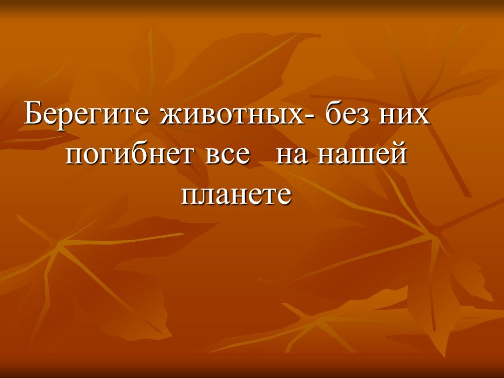 Берегите животных. Берегите животных красной книги. Надпись берегите животных. Вывод на тему берегите животных.