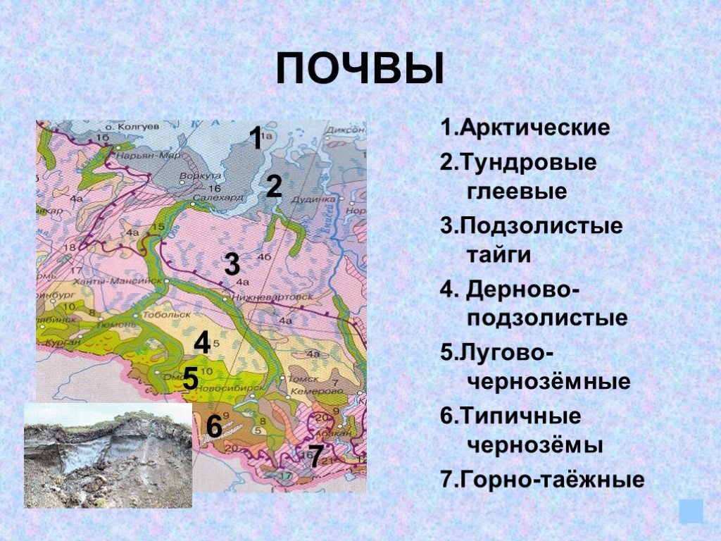 Какая природная зона отсутствует в западной сибири. Типы почв Западной Сибири. Типы почв Северо Восточной Сибири. Почвы Западно сибирской равнины. Карта почв Западной Сибири.