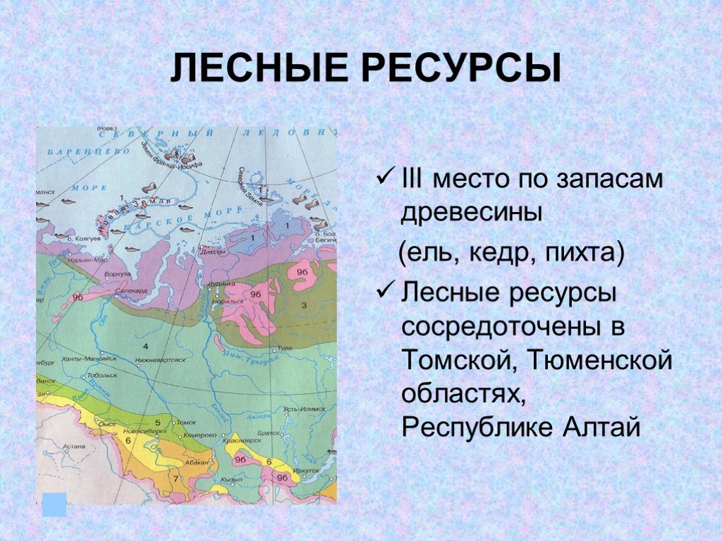 Какая природная зона отсутствует в западной сибири. Лесные ресурсы Западной Сибири карта. Лесные ресурсы Западной Сибири равнины. Западно Сибирский район Лесные ресурсы. Лесные ресурсы Восточной Сибири.