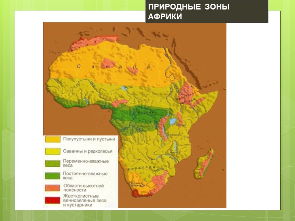 Природная зона занимающая 40 материка. Природные зоны Африки 7 класс география карта. Природные зоны материка Африка. Карта природных зон Африки. Природная зона Африки пустыня.