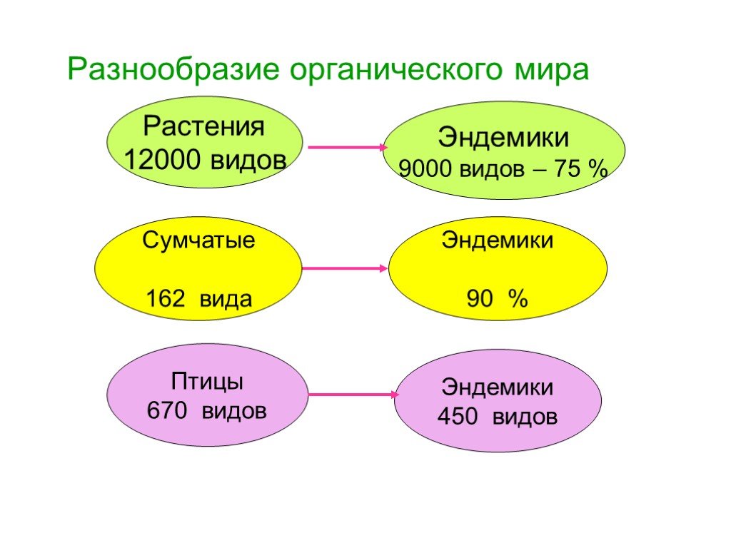 Новая система органического мира презентация 10 класс