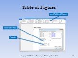 Table of Figures Insert Table of Figures Tab leader style Formats