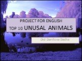project for English TOP 10 UNUSAL ANIMALS. Did Danilova Dasha