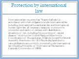 Protection by international law. International law requires that "States shall take, in accordance with their obligations under international law, including international humanitarian law and international human rights law, all necessary measures to ensure the protection and safety of persons w