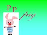 P p pig