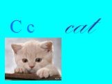 C c cat