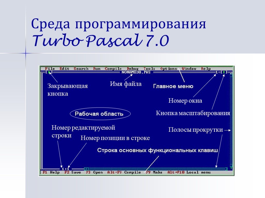 Презентация язык pascal