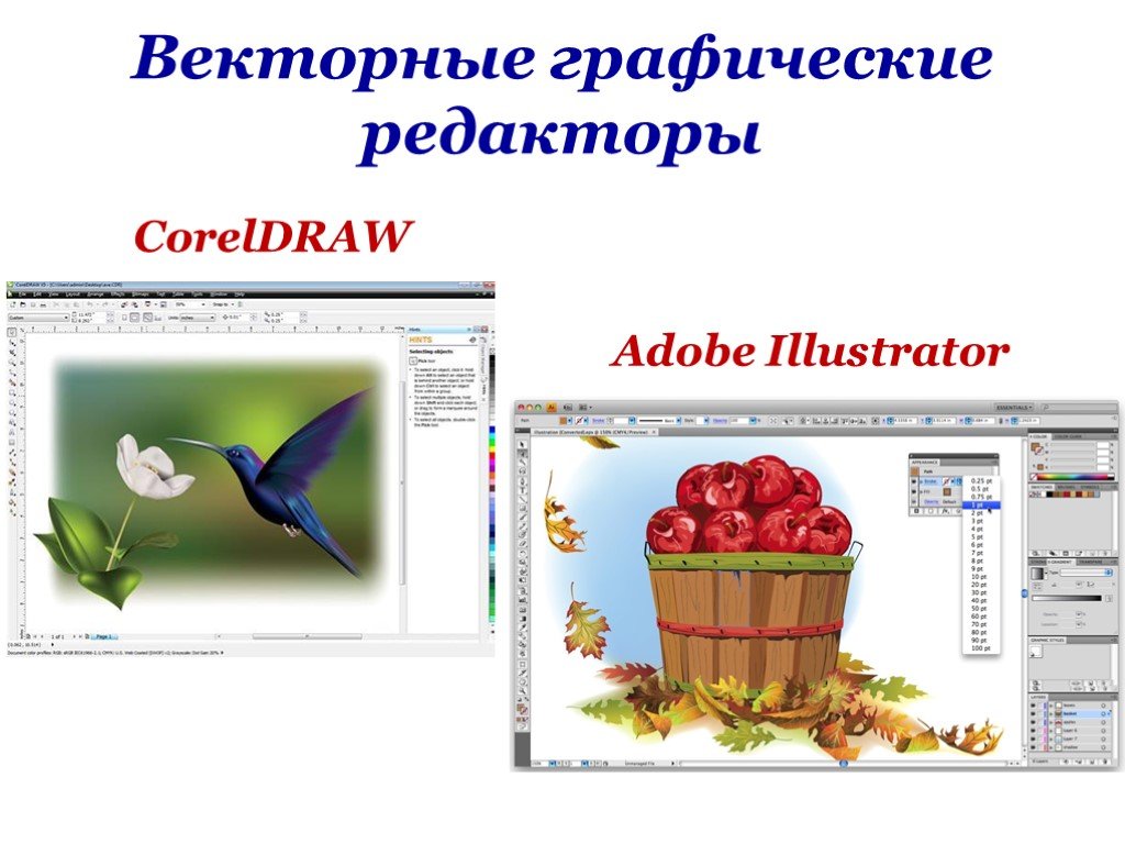 Векторная графика какая программа. Редакторы векторной графики. Векторный графический редактор примеры. Редакторы векторных изображений что это. Примеры графических редакторов векторной графики.