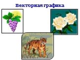 Векторная графика