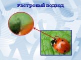 Растровый подход