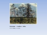 Финляндия с голубым небом. 1900. Гравюра на дереве.