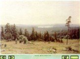 Лесные дали 1884 год