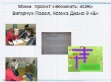 Мини- проект «Элементы ЗОЖ» Вигерчук Павел, Козека Диана 9 «Б»