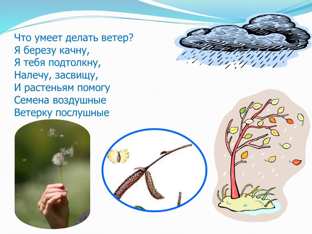 Ветер что делает. Что умеет делать ветер. Ветер что сделал. Что делать делает ветер. Летний ветер что делает.