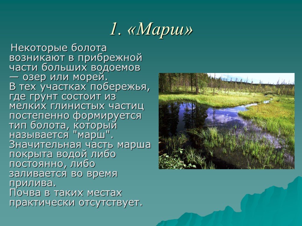 Болото естественный водоем 2 класс 21 век презентация