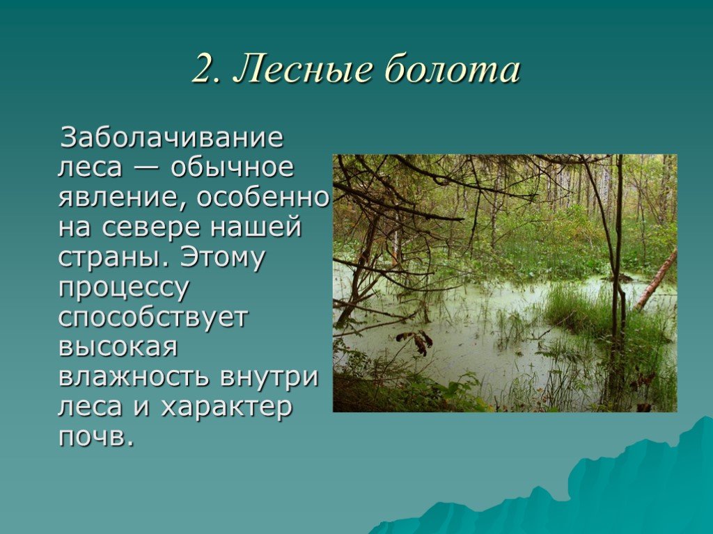 Болото естественный водоем 2 класс 21 век презентация