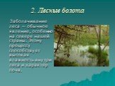 2. Лесные болота. Заболачивание леса — обычное явление, особенно на севере нашей страны. Этому процессу способствует высокая влажность внутри леса и характер почв.