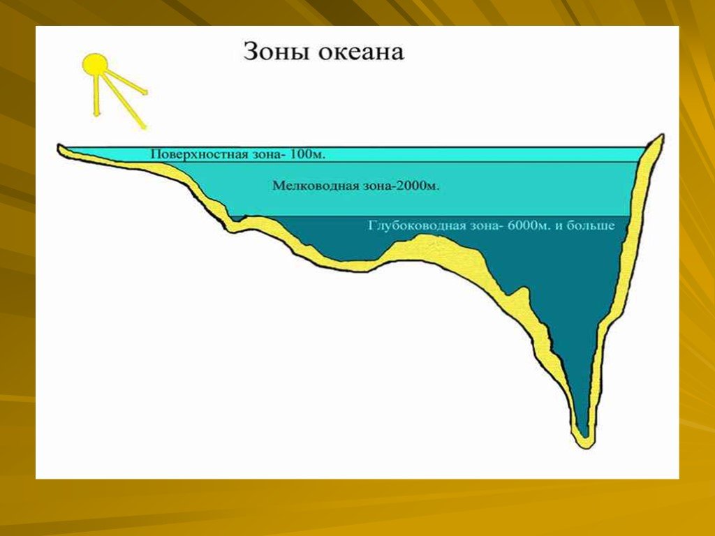 5 слоев океана. Зоны океана. Природные зоны мирового океана. Широтные зоны мирового океана. Природные пояса и зоны океана.