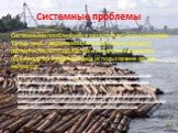 Системные проблемы. Системными проблемами в развитии лесного комплекса Татарстана, сдерживающими экономический рост развития лесного хозяйства и лесопромышленного производства и эффективное использование лесов, являются: недостаточная точность оценки ресурсного потенциала лесов; низкий технический у