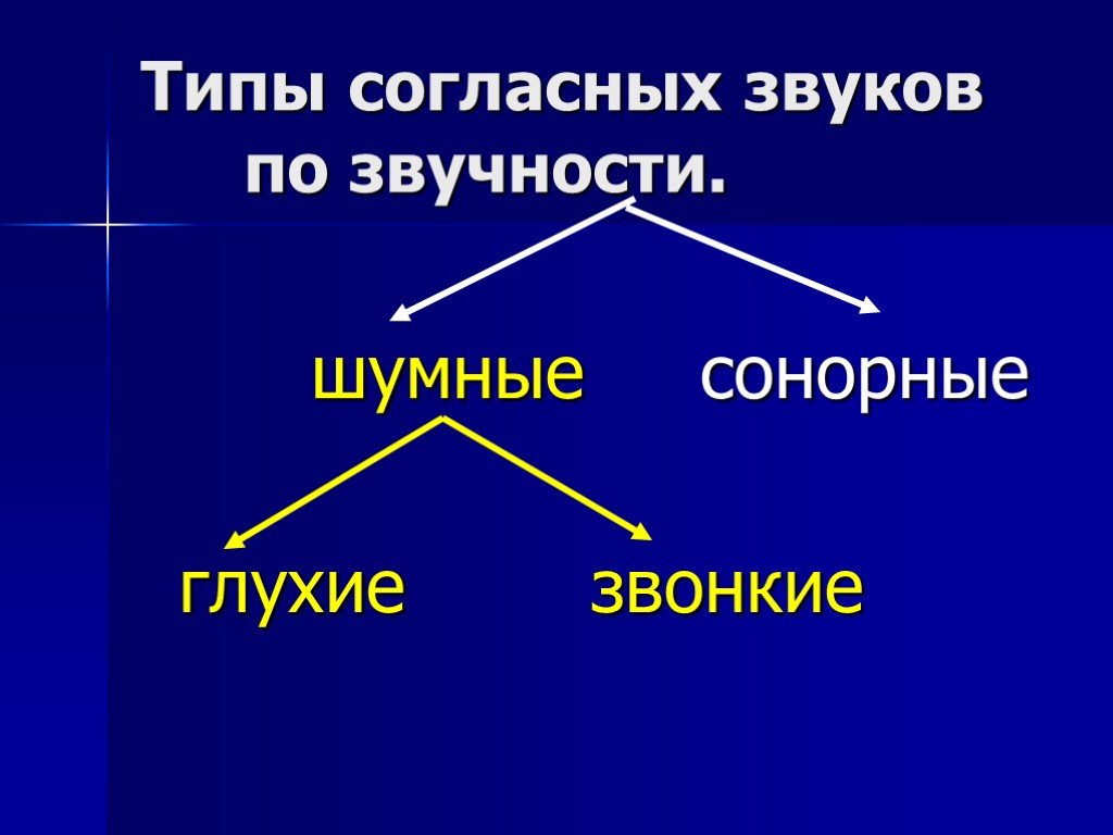 Сонорная теория