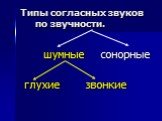 Типы согласных звуков по звучности. шумные сонорные глухие звонкие