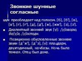 Звонкие шумные согласные. шум преобладает над голосом. [б], [б’], [в], [в’], [г], [г’], [д], [д’], [ж], [жж’], [з], [з’]. Диалектный звонкий звук [γ]: [γ]оворю, бо[γ]а, [γ]осподи. Позиционно обусловленные звонкие звуки [дˆж’], [дˆз], [γ]: плацдарм, двухгодичный, начбазы. Ночь была темная. Отец был д