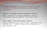 В ОГОНЬ И В ВОДУ (пойти, идти) - Пойти (идти) на все, на любые самоотверженные поступки, не раздумывая, жертвуя всем. Евангелие от Матфея/ Исцеление бесноватого лунатика Господи! Помилуй сына моего; он в полнолунии беснуется и тяжко страдает, ибо часто бросается в огонь и часто в воду. Книга пророка