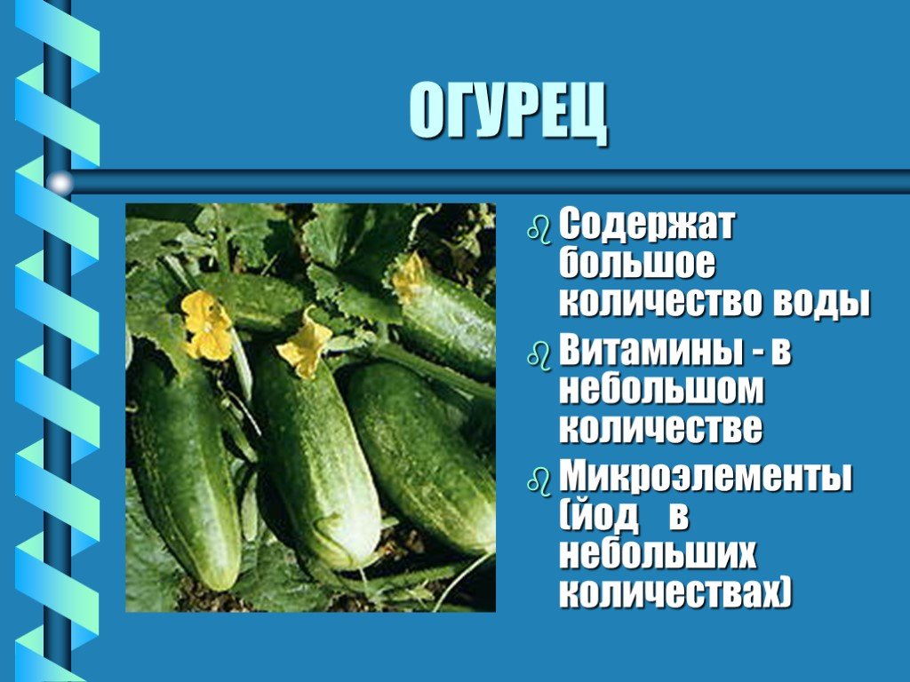 Проект про огурец