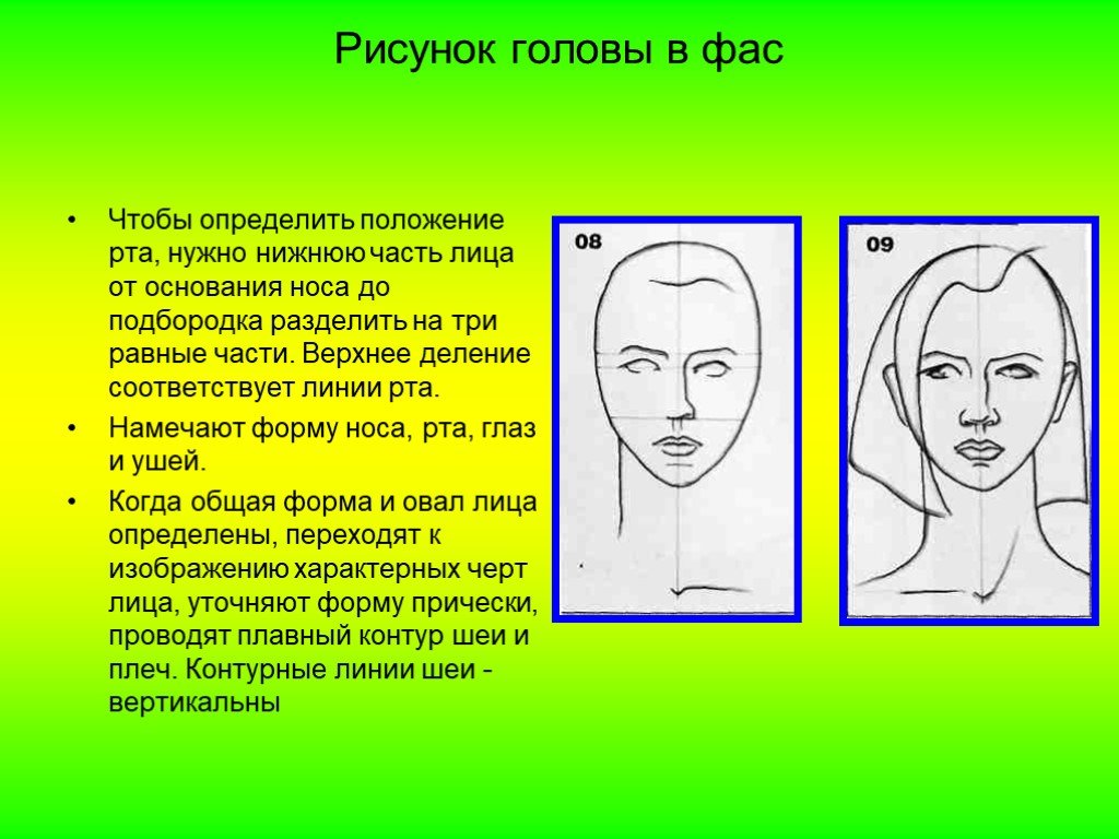 Как определить положение человека. Рисование головы человека. Пропорции головы человека для рисования. Конструкция головы человека рисунок. Положения лиц для рисования названия.
