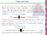 2) Тирозинемия типа 2 (Синдром Рихнера –Ханхорта). Причиной является дефект фермента тирозинаминотранс-феразы. Для заболевания характерны поражения глаз и кожи, умеренная умственная отсталость, нарушения координация движений. 3) Тирозинемия новорожденных (кратковременная). Причина – дефект фермента 