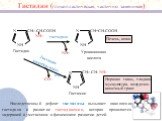 NH -CH2-CH-COOH NH3 -CH=CH-COOH гистидаза. Гистидин (гликопластическая, частично заменимая). Гистидин. Уроканиновая кислота. Печень, кожа. Гистидин- декарбоксилаза. -CH2-CH- Гистамин. Нервная ткань, гладкая мускулатура, желудочно-кишечный тракт. Наследственный дефект гистидазы вызывает накопление ги