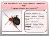 Как называется этот представитель животного мира? К какому классу он относится? В случае опасности он с громким хлопком выстреливает кипящую жидкость в обидчика, при этом жук не наносит себе ожогов. Как это ему удается? Какая химическая реакция происходит в данном случае? Подсказка: в организме жука