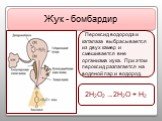 2H2O2 → 2H2O + H2. Пероксид водорода и каталаза выбрасывается из двух камер и смешивается вне организма жука. При этом пероксид разлагается на водяной пар и водород. Жук - бомбардир